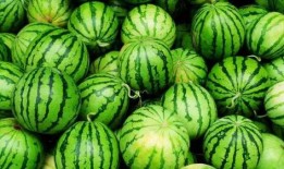 爆炸瓜视频 吃瓜真实爆料,吃瓜群众的真实爆料与幕后真相